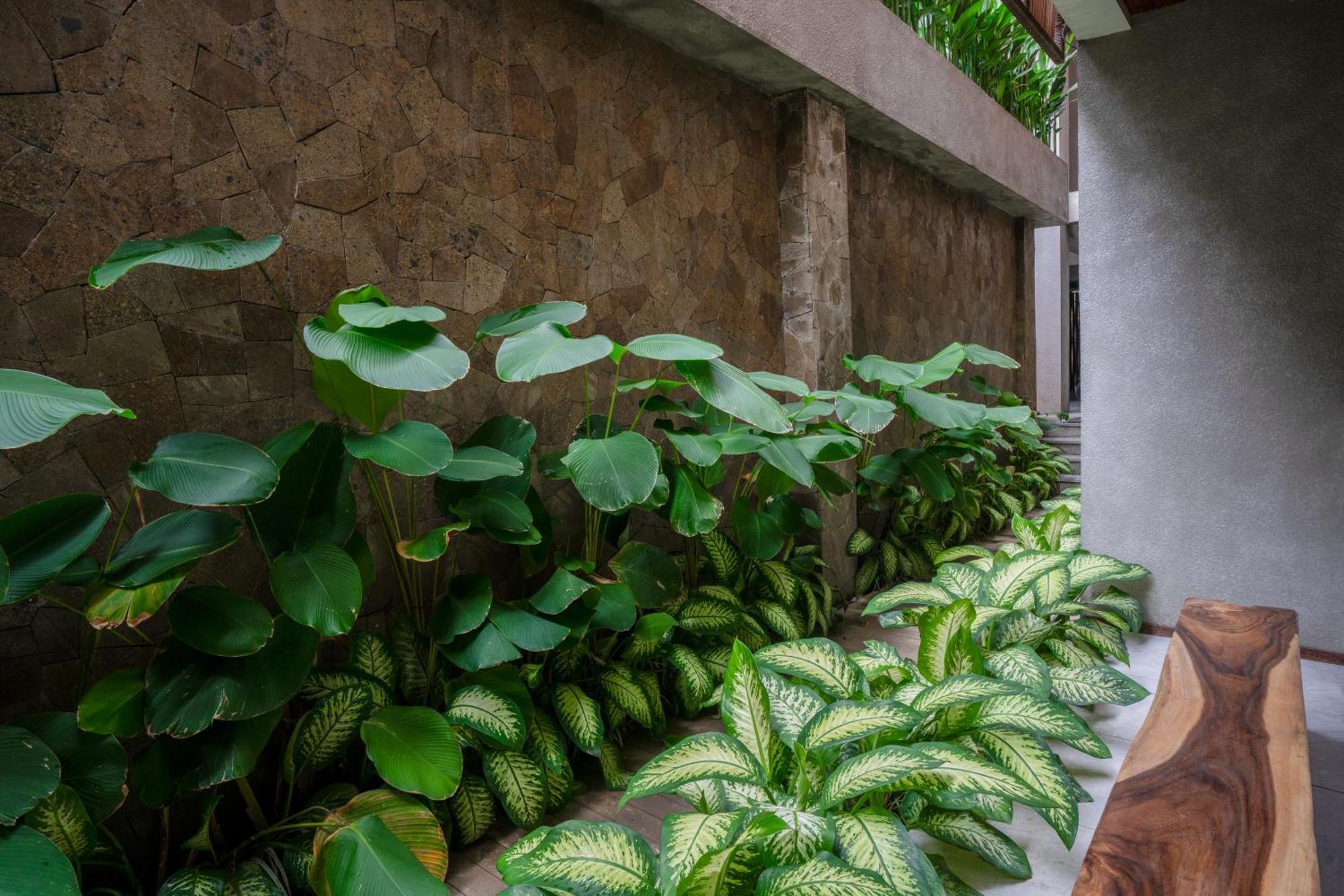 Kammora Living And Villas - Bali Invest Club Canggu Dış mekan fotoğraf